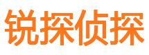 临江市私家侦探